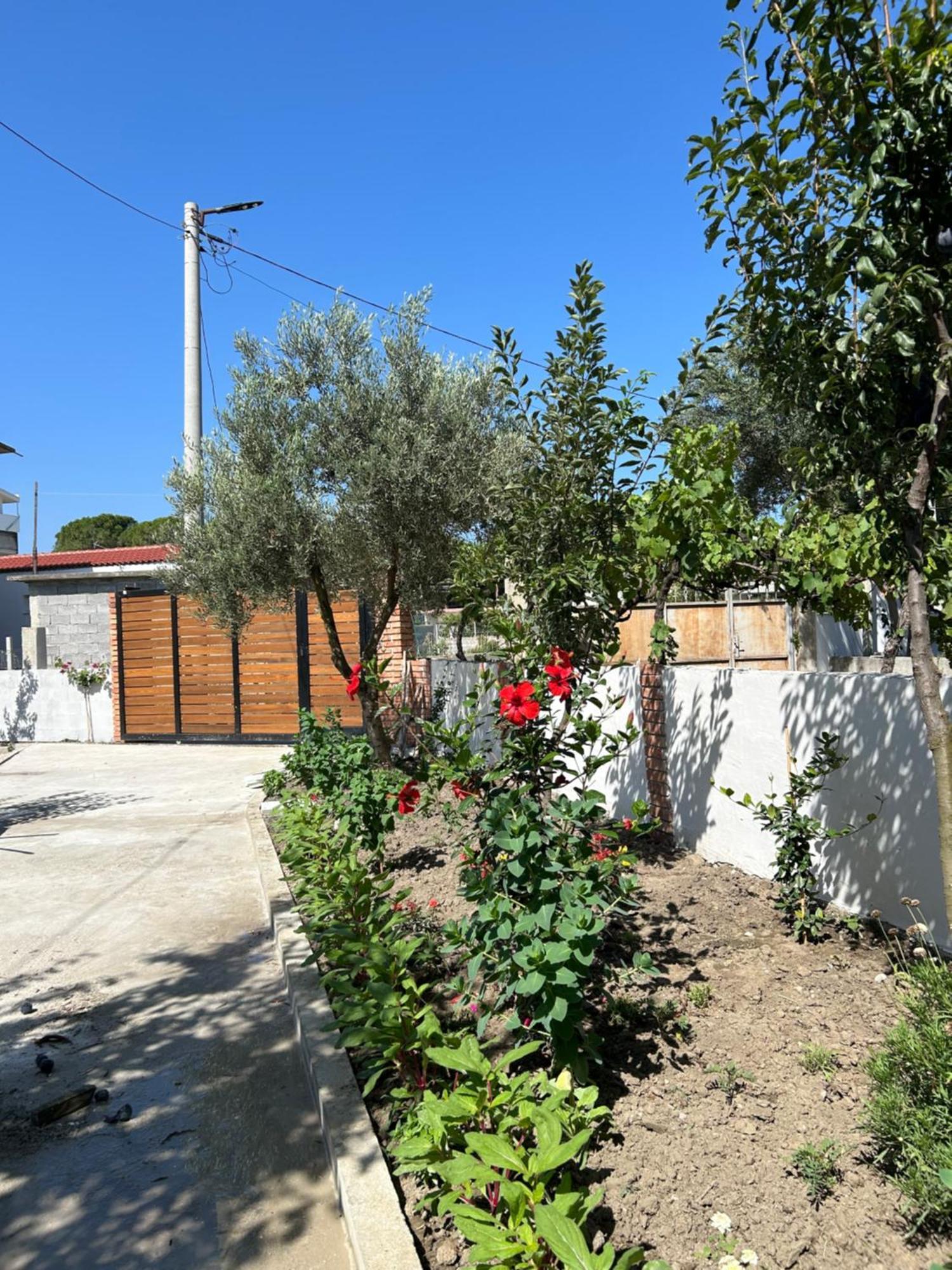 Vila Roan Vlorë Exteriör bild